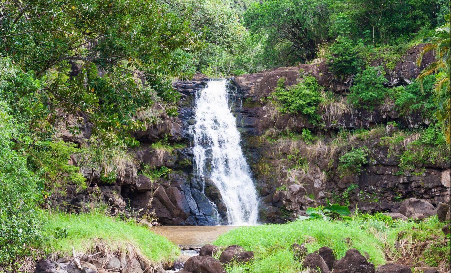 Hidden Gems of Oʻahu with Waimea Valley